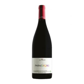 IGP Cévennes Rouge Paradigme, Vignerons de Saint Maurice